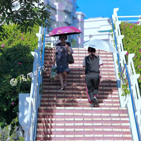 玛娃 厦门的相关长尾关键词有哪些