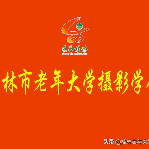 桂林市修理照相机店在哪里