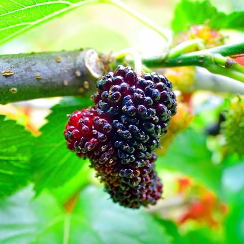 甘某某 桂林相关长尾关键词有哪些