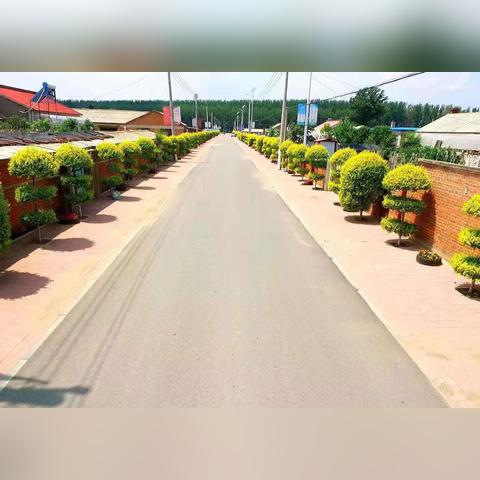 沈阳家教中心相关长尾关键词有哪些