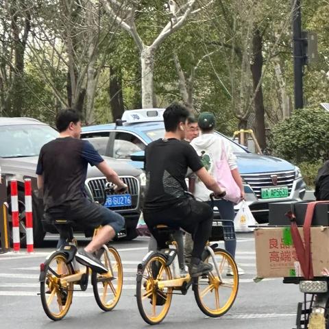 盘点小腿在上海自己租房吗相关关键词有哪些