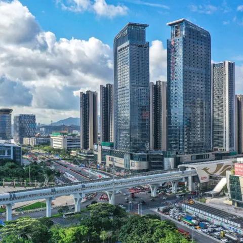 深圳市双免1 5是什么