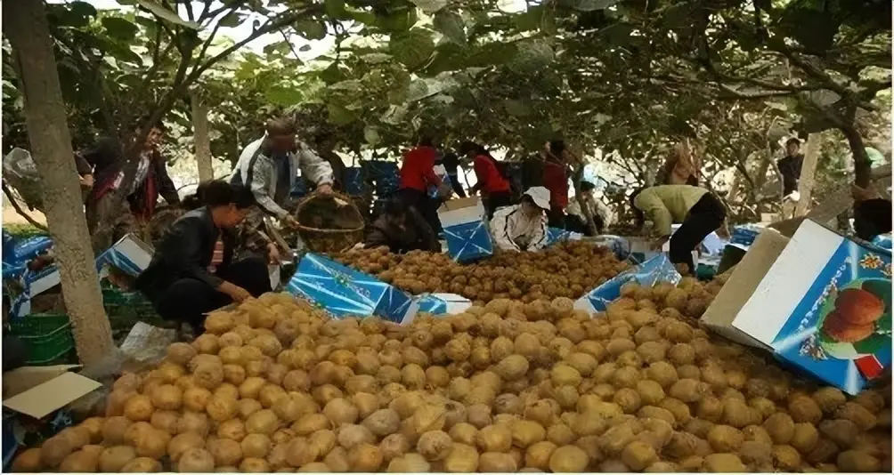 如何在五年赚满400万 如何赚满100万