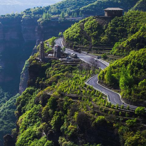 河南安阳地区养什么好鸟