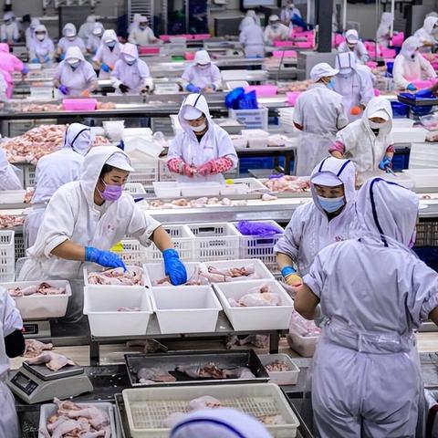 盘点俄罗斯在上海的食品推广相关关键词有哪些
