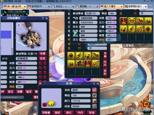 梦幻西游：涛哥5只神马林中鸟童子成品，揭露鲨鱼礼盒骗局