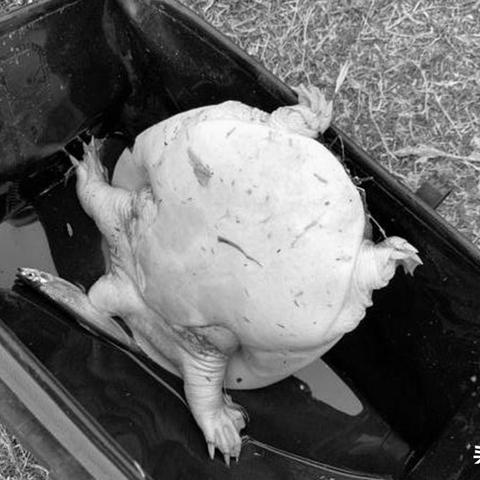 广东省佛山市空军基地的长尾关键词有哪些