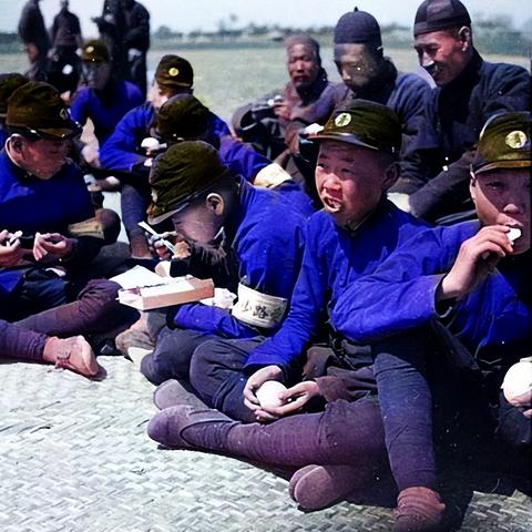 保定市哪里有芦苇卖