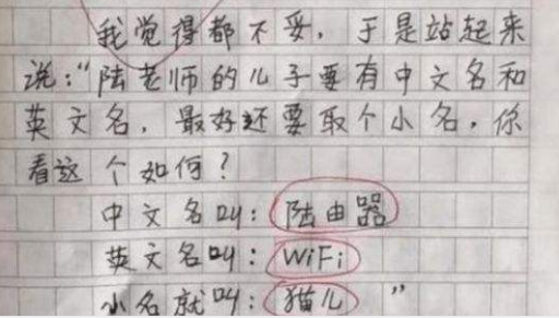 小学作文什么是成功男人