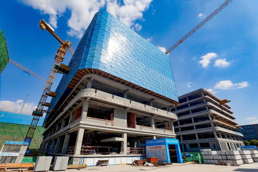 返乡过年政策
 /返乡过年政策重庆2026