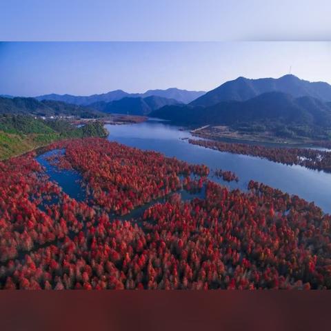 宣城宁国一周天气预报的长尾关键词有什么