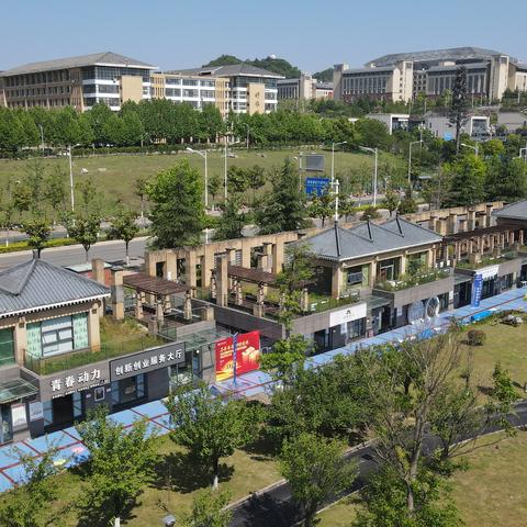 深圳市圆梦园在哪个区啊