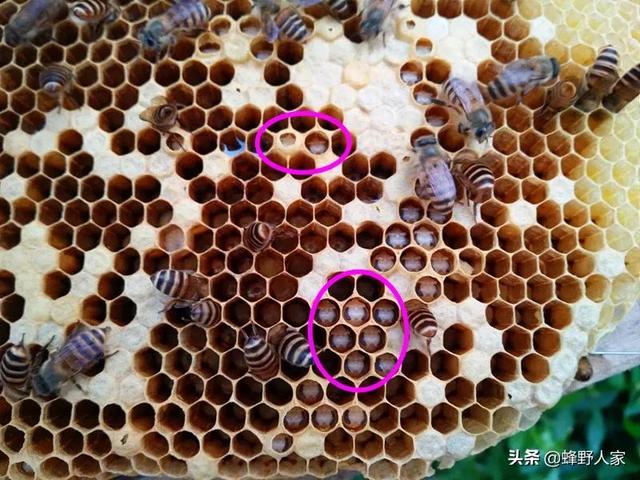 春季女人怀孕的3大坏处