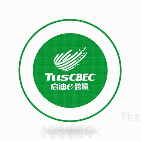 东盟有什么跨境电商平台的相关长尾关键词是那些