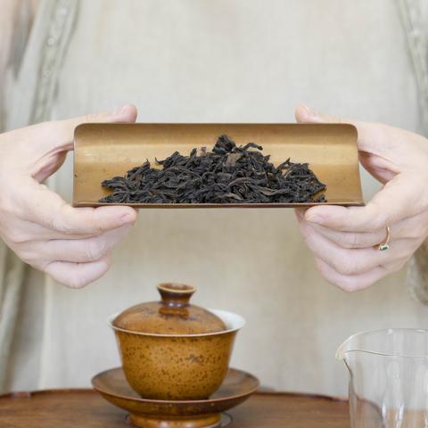 福建好喝的果茶的相关长尾关键词有哪些