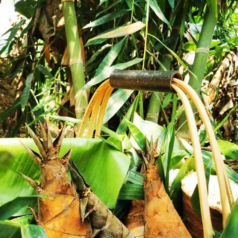 湖南省与福建省是否有交界？