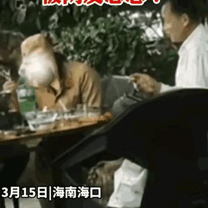 海口四月初穿什么
