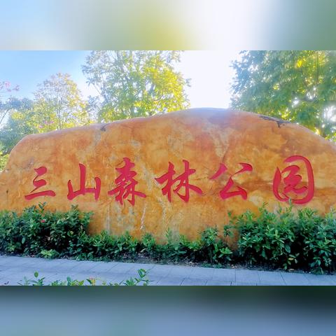 佛山市哪些区
