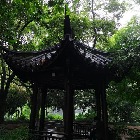 杭州市菜市桥属于哪个区