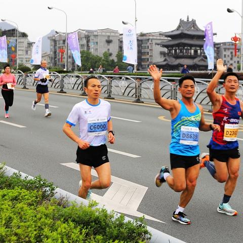 桂林市解放桥有马在哪里