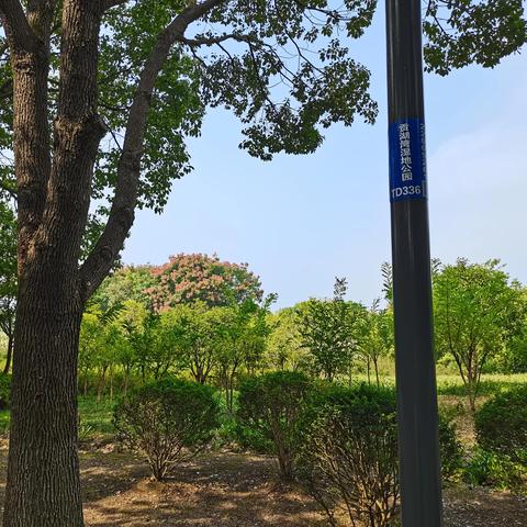无锡市东亭镇怎么样
