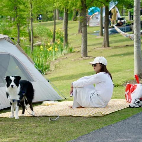 上海莫奈风格公园有哪些