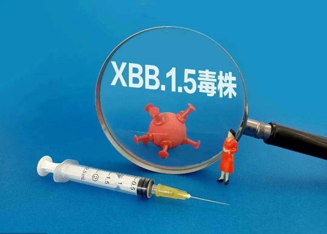 【上海已检测到xbb毒株
/上海发现病毒】 【上海已检测到xbb毒株
/上海发现病毒】