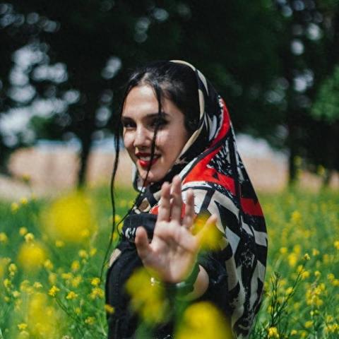 生肖虎事业运势感情(属虎人的事业运势)