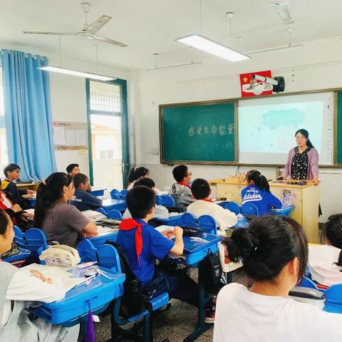 武汉市板桥小学怎么样