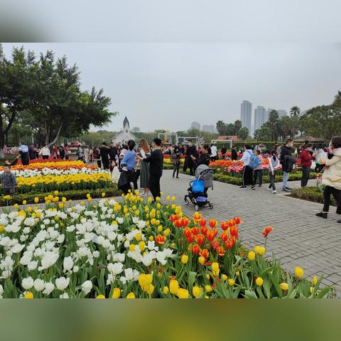 厦门园博苑多少亩？