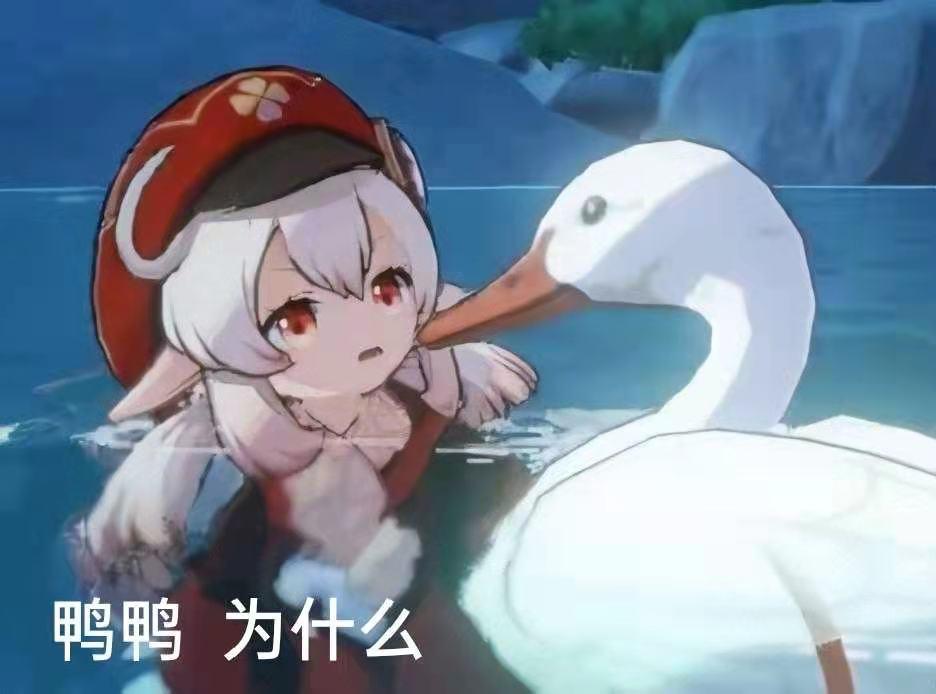 原神怎么放弃绑定手机（原神怎么改密码跟手机号）