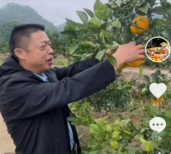 春节赣南吃什么美食（你家乡的萝卜有什么特别的吃法）