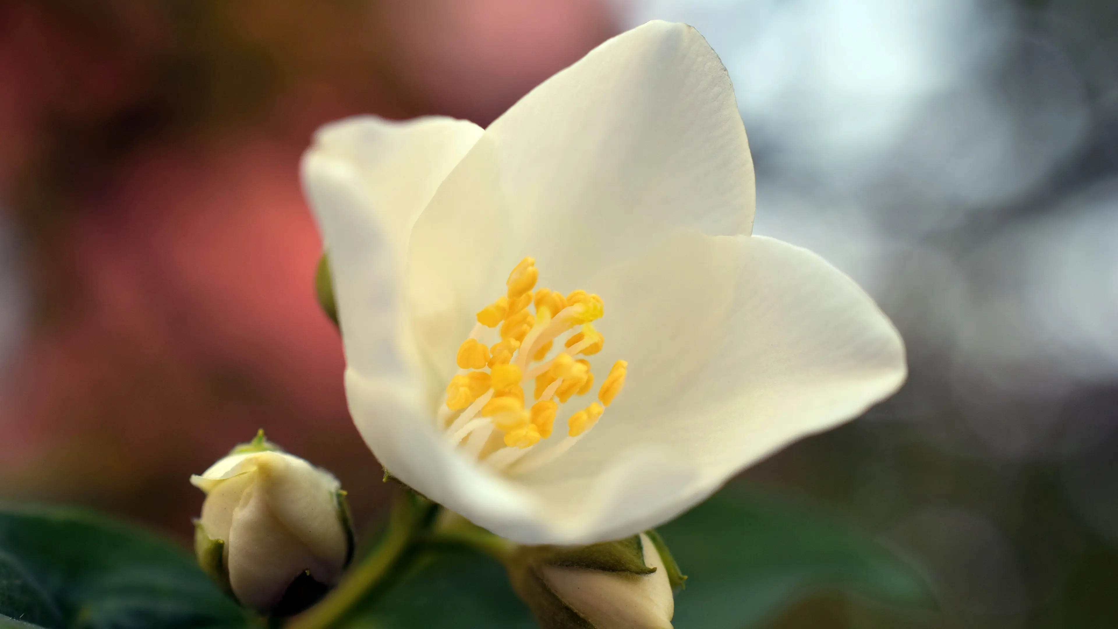 快手我是否也在你心中 快手唱我是否在你心中