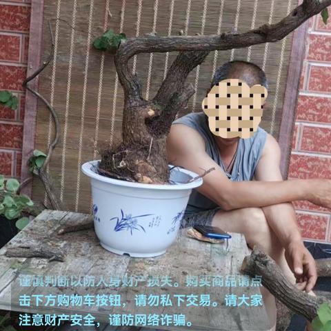 为什么看国际版抖音犯法
