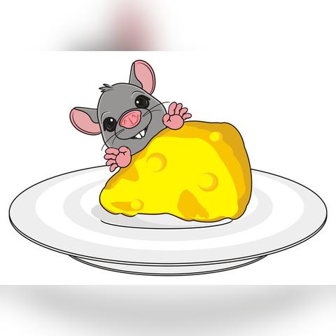 鼠生肖的运势好吗(生肖鼠的运势揭秘)