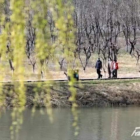 石家庄市春节主题晚会的长尾关键词有什么