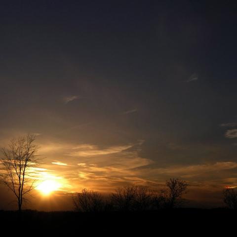 “女生八字缺官星，姻缘真的难成吗？”