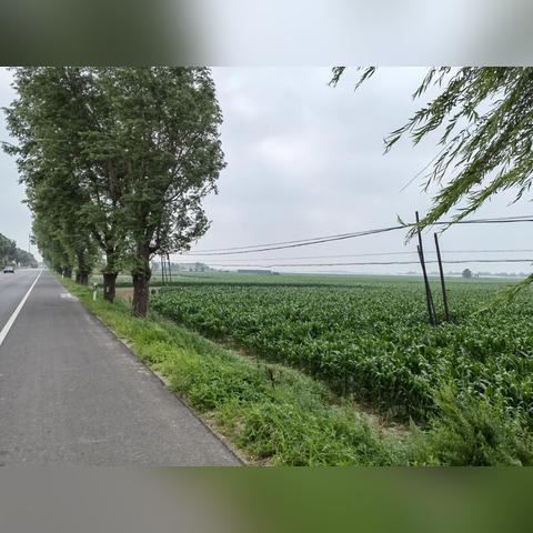 沈阳公交车237相关长尾关键词有哪些