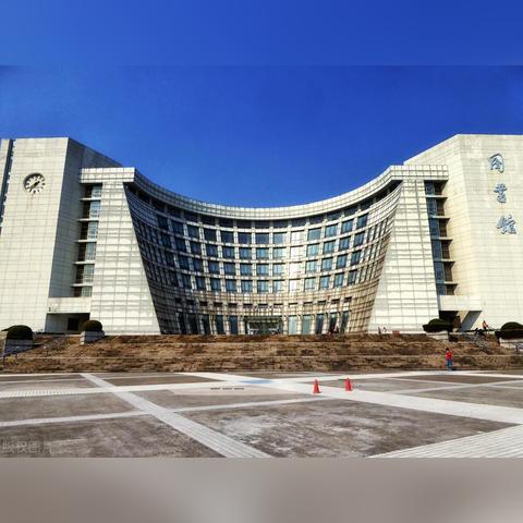 河南支援上海的哪个区域