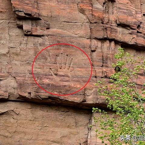 右手掌纹手相算命准吗(右手掌纹的秘密全图解)