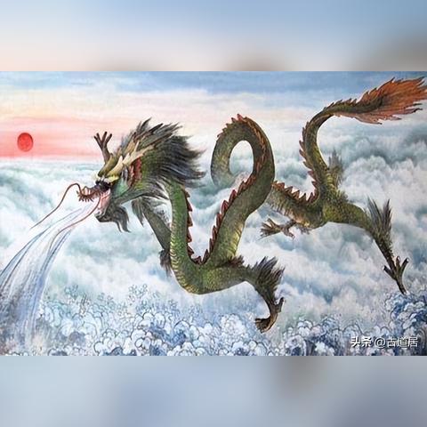 生肖龙下半年的工作运势(属龙的人下半年的运势)