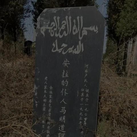 兰州市回族入怎么样