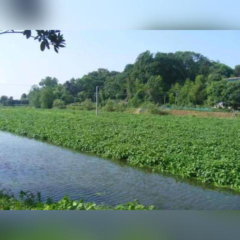 长沙市第一家超市是哪个