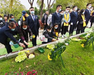 武汉市如何办理树葬？