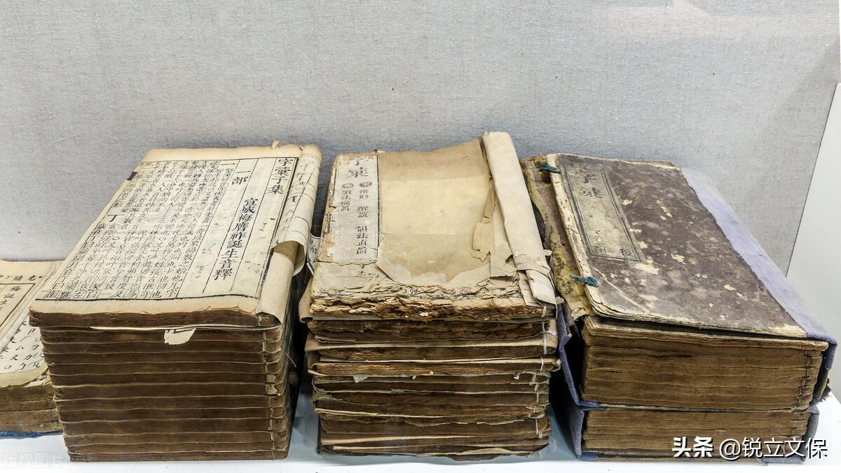 工业微生物参考文献自动生成为什么食草动物比如牛只吃草就能长出健壮的肌肉