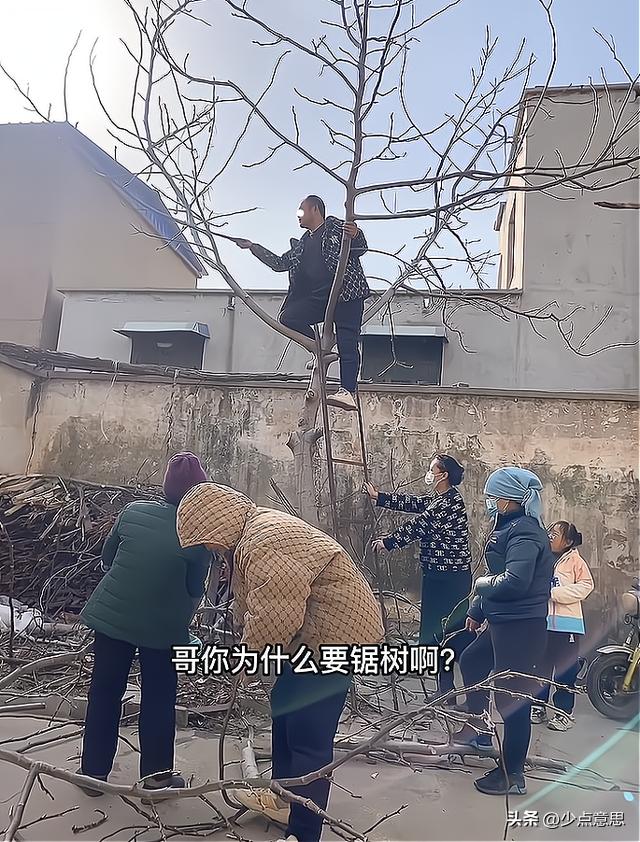 风水单身女生_单身汪的房间要怎么搭配