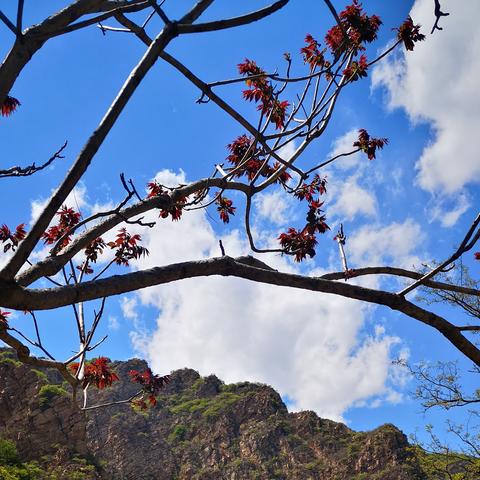 住在天津景区怎么样