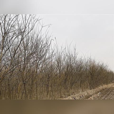 捐衣服 兰州的相关长尾关键词有哪些