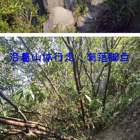 武汉市君山是什么区