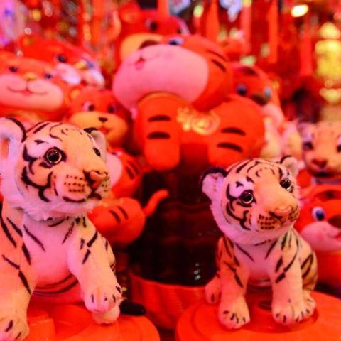 虎年生肖运势详解大全图(虎年生肖运势详解大全图片)